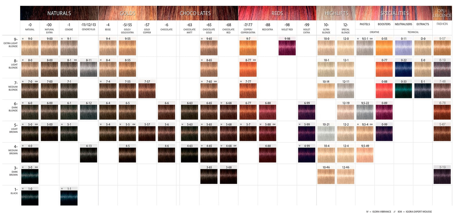 Tinte Igora Royal Schwarzkopf Professional