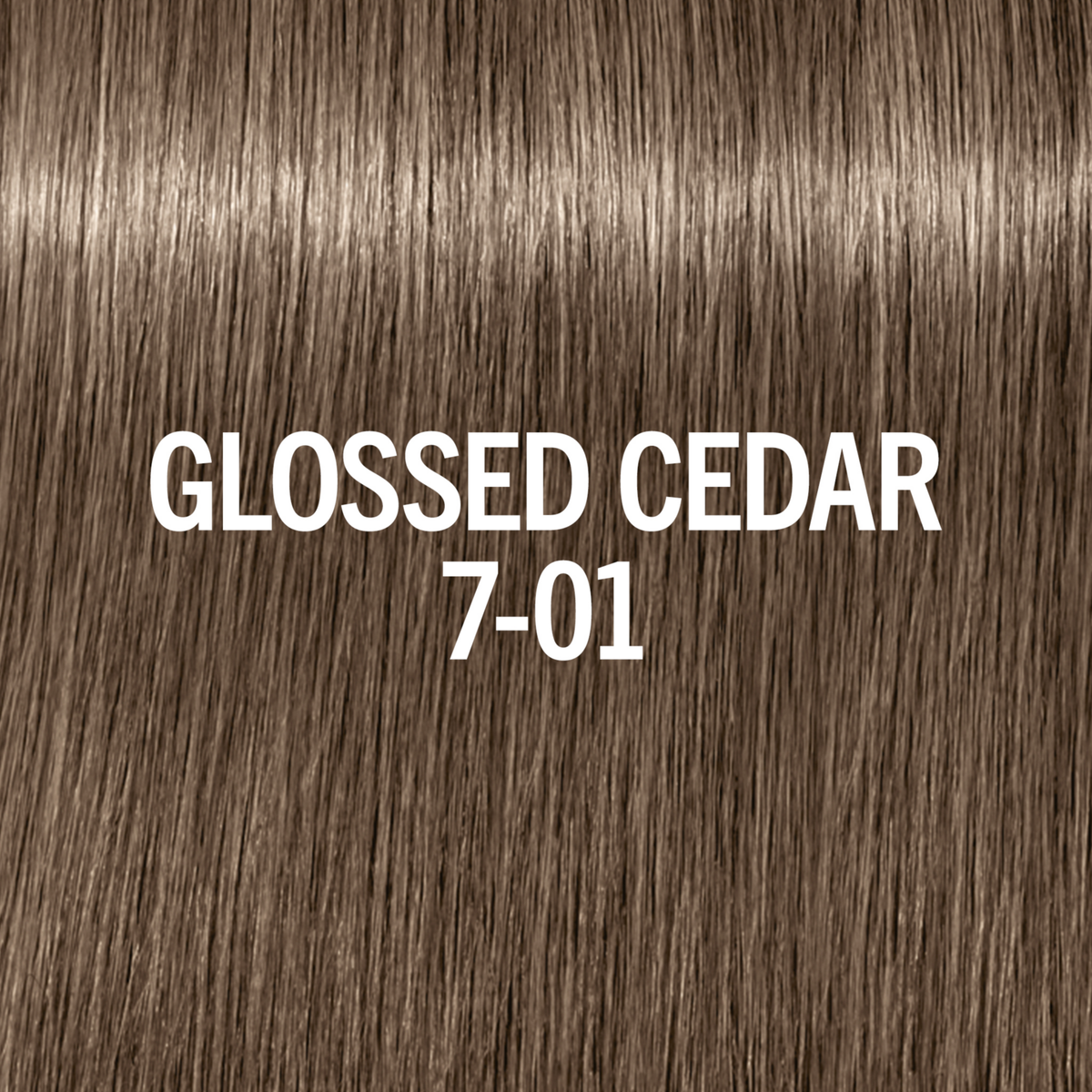 Muestra de tono Glossed Cedar Cedro Glaseado 7-01